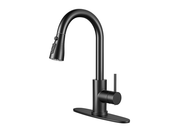 Kitchen Mixer Tap